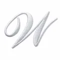 Écusson brodé lettre W blanc de qualité supérieure pour vêtements DIY 7.06x6.66cm - Lettre W