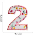 Toppa ricamata numero 2 con motivo floreale e bordo rosa, misura 5,2 cm x 4,3 cm - Numero 2