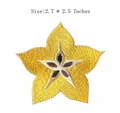 Gelber bestickter Stern-Aufnäher für DIY-Kleidungsdekoration mit feinen Details - Gelbe Sternblume (JLA005509)