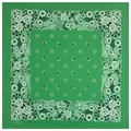 Green cotton floral bandana with white patterned border and center print - 55cm / Green Flower