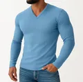 Detail view of men's slim fit ribbed long-sleeved V-neck T-shirt in blue - Blue
