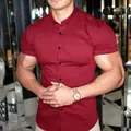 Detail view of a muscle fit wine red short sleeve shirt with a turn-down collar - S / Tops / Red