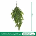 60cm artificial Norfolk pine wall hanging greenery decoration with 15 branch stems - Norfolk Pine Wall Hanging / 15 Branches