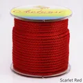 Stevige 3mm rode gevlochten maïskoord voor DIY sieraden en hanger ketting koorden - Ongeveer 3,0MM / Helderrood