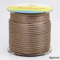 Aolunsi 3mm abrikoos gevlochten koord op rol voor doe-het-zelf ketting hangers - Ongeveer 3,0MM / Abrikoos