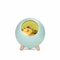 Cute mint green pet house night light variant with sleeping cat and wooden legs - Night Light Style / Green