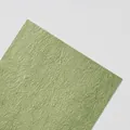 Spring grass green textured wrapping paper for flowers and gifts, 60x60cm - 5 Sheets/Pack (60*60cm) / Spring Green