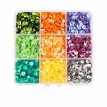 Paillettes tonde colorate da 5mm in scatola a 9 scomparti per decorazioni fai da te - 5mm (5g Per Scomparto) / Scatola 65