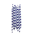 Blauwe en witte spiraalvormige gestreepte papieren rietjes voor thema feestdecoraties - Blauw en Wit Gestreept Papieren Rietjes (10 Stuks) / 10 Stuks Verpakking