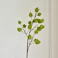 Minimalistischer grüner künstlicher Lampionfruchtzweig für elegante Dekoration - Grün
