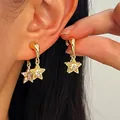 Elegante gouden ster oorknopjes met verfijnde micro-pave kristallen details voor haar - Micro-Ingelegde Ster (WG-0573)