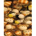 Vielzahl an süßen Sushi-Squishy-Spielzeugen in Einzelverpackung zum Stressabbau - OPP Beutel Verpackt (1 Stück)