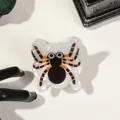 Halloween acrylic spider hair claw clip with cartoon eyes and orange striped legs - Small Spider Clip