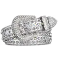 Detailopname van een zilveren riem bezet met sprankelende strass-stenen en studs. - Zilver Veelkleurig met Veelkleurige Gesp