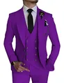 Elegant slim fit men's three-piece wedding and party suit in a vibrant purple finish - Purple