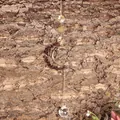 Attrape-soleil artisanal lune et soleil avec pierres rouges naturelles pour fenêtre - Carillon à Vent Lune Grenat