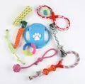 Durable multi-color cotton dog rope chew toy set for puppy teething and interactive play - 10-Piece Set, 630g