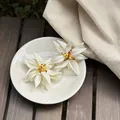 Primer plano de pendientes de flor de acrílico blanco sobre platillo de cerámica blanca. - Estilo de Pasador de Plata / Blanco-Amarillo