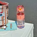 Close-up of a pink portable water bottle with straw on a white outdoor storage box - 540ml / Pink