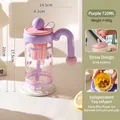 Purple 720ml high-quality glass water bottle with handle, straw and built-in tea infuser - 720ml (With Tea Infuser And Straw) / Pink Purple