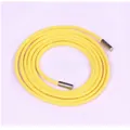 Simple skinny candy-colored yellow leather rope belt with metal tips for women's dresses - 165cm / Yellow