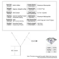 Gedetailleerd specificatieblad voor S925 zilveren Y-vormige kwastjesketting met moissaniet hanger. - Geometrisch Kwastje Stijl / K Witgoud
