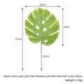 Artificial Monstera deliciosa leaf with dimensions and weight specs - Large With Holes (Glossy) / Light Green