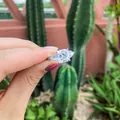 Eleganter S925 Sterlingsilber Ring mit Moissanit im Kissenschliff, in der Hand. - US Größe 4 / Kissenschliff-Stil (V款) / Silber