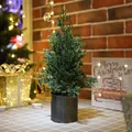 Mini albero di Natale in cedro verde in vaso nero per decorazione da tavolo festiva - Modello D