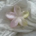 Detailweergave van een roze en gele plumeria bloem haarklem met een glanzende jelly finish. - L / Gradiënt Roze