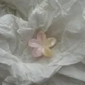 Macro-weergave van een roze en gele plumeria bloem haarklem met kleurverloop op wit papier. - S / Gradiënt Roze