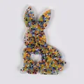 Handmade colorful bead-filled rabbit skin picking fidget toy for sensory stress relief - JY-12G (Vibrant Colorful Bead Fill)