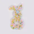 Easter rabbit skin picking fidget toy with colorful beads in translucent silicone - JY-13B (Pink Yellow Blue Green Mix Fill)