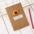 Handmade kraft paper greeting card featuring a 3D dried sunflower and best wishes - Sunflower / Kraft Color