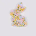 Bunny-shaped skin picking fidget toy with colorful beads in translucent silicone. - JY-14B (Blue Yellow Pink and Green Bar Fill)
