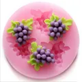 Detailed grape fruit shaped silicone fondant mold for DIY cake decorating and craft projects - Grape Style (50-06) / Pink