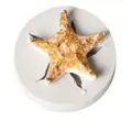 Realistic starfish silicone mold for creating ocean-themed fondant cake decorations - Starfish Style (50-859-B)