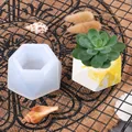 Détail d'un moule en silicone hexagonal montrant le moule et un pot de fleurs fini pour plantes - Facette géométrique hexagonale (60-1063)