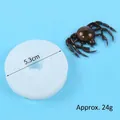 Spider-shaped silicone mold for DIY Halloween cake decoration, 5.3cm diameter - Spider (50-540-D) / 5.3cm / White
