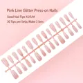 Roze kunstnagels set met zilveren glitterlijnen, strip van 30 stuks voor nagels - S193-T