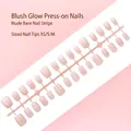 Light pink gradient press-on nails with glitter, 30pcs set in XS/S/M sizes - Ice-Through Sequined Style (S123-T) / 30 Pcs/Strip / Light Pink Blush Gradient