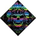 Detailed view of the vibrant rainbow Indian skull graphic on a high-quality cotton bandana. - 55cm*55cm / Multicolor Indian Skull