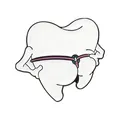 Quirky white tooth enamel pin wearing pink thong for funny backpack clothing decoration - Pink Thong Tooth Style (QHXZ5817)
