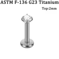 G23 titanium labret stud met 4-poots gezette 2 mm heldere ronde zirkonia top - 2mm Rond Zirconia / 1.2*8mm / Staalkleur