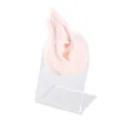 Modèle d'oreille d'elfe en silicone sur support acrylique pour boucles d'oreilles et piercing - Modèle + Support d'Exposition / Blanc Rosé - Oreille Droite