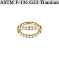 G23 Titan Septum Clicker Ring mit zweireihiger weißer Zirkon-Einlage in Goldoptik - Gold (NO3)