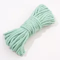 Cuerda de algodón trenzado verde menta 3mm/4mm para manualidades DIY y decoraciones - 10 Metros / 05 Verde Menta Claro