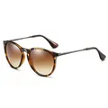 Retro tortoise shell polarized sunglasses with brown gradient lenses in a cat-eye style - Matte Tortoise Gun Leg Double Tea Polarized C19