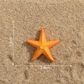 Petite figurine d'étoile de mer orange réaliste pour décor d'aquarium DIY - Style 2 Étoile de mer orange / 1 Pièce