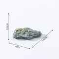 Figurine de fossile de dinosaure T-Rex miniature pour terrarium DIY, 4x1,9x0,8cm - 4cmx1.9cmx0.8cm / 3# Tyrannosaure